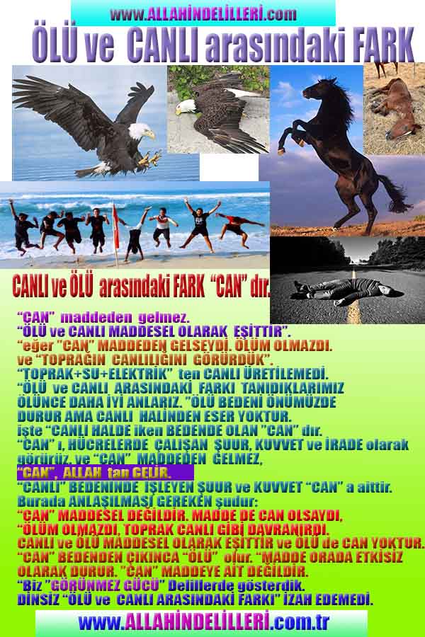 allah var delilleri, allahin varlıgının delilleri, allahin delilleri, allah in varliginin delilleri nelerdir?, allah ın ispatı