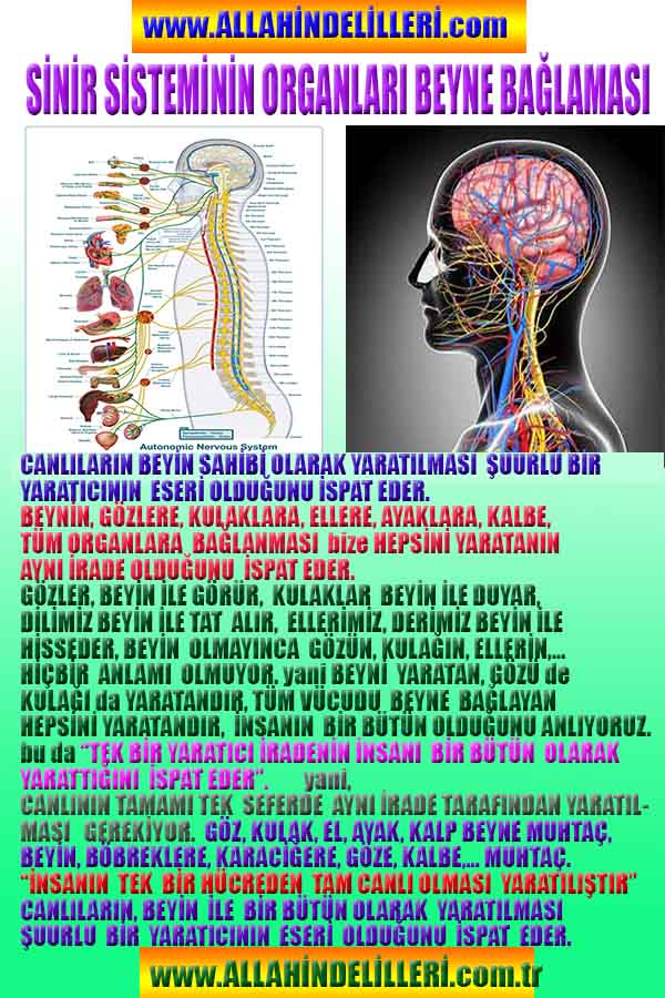 allah var delilleri, allahin varlıgının delilleri, allahin delilleri, allah in varliginin delilleri nelerdir?, allah ın ispatı