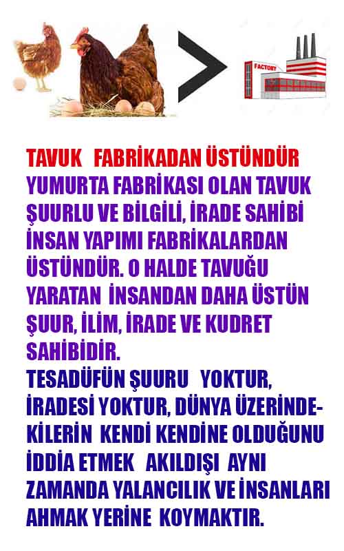 allah var delilleri, allahin varlıgının delilleri, allahin delilleri, allah in varliginin delilleri nelerdir?, allah ın ispatı