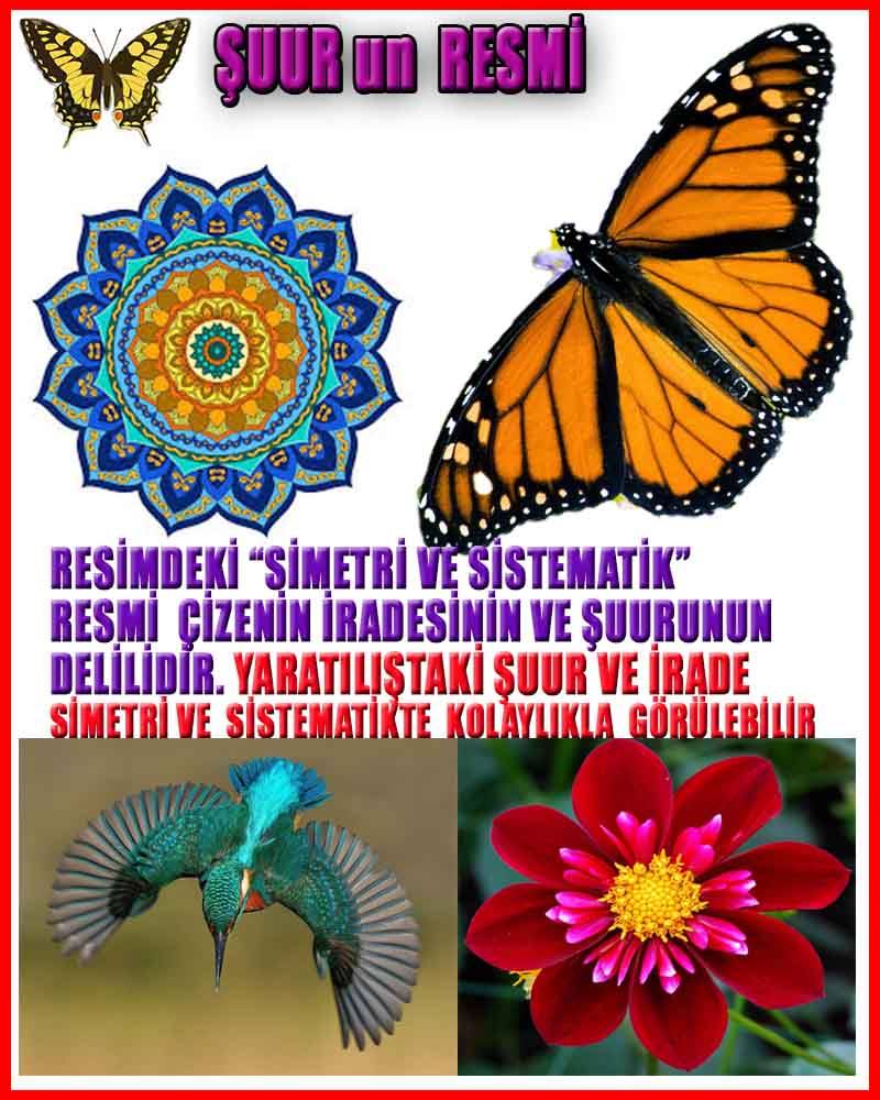 allah var delilleri, allahin varlıgının delilleri, allahin delilleri, allah in varliginin delilleri nelerdir?, allah ın ispatı