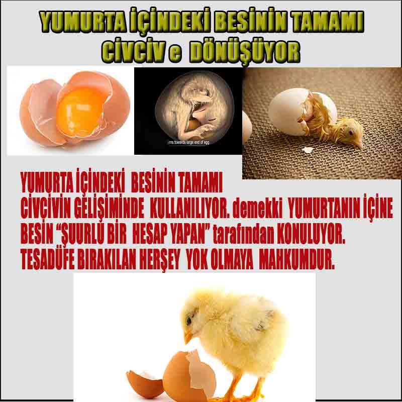 allah var delilleri, allahin varlıgının delilleri, allahin delilleri, allah in varliginin delilleri nelerdir?, allah ın ispatı