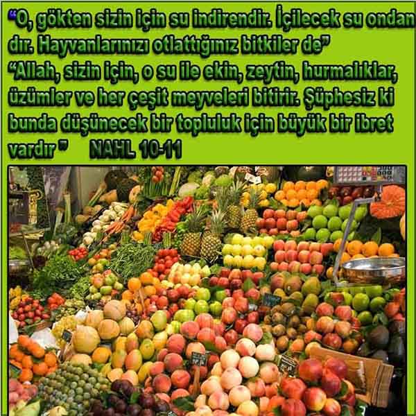 allah var delilleri, allahin varlıgının delilleri, allahin delilleri, allah in varliginin delilleri nelerdir?, allah ın ispatı