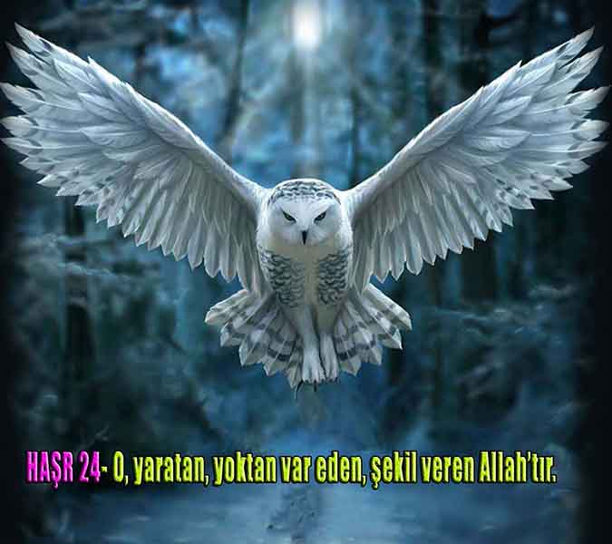 allah var delilleri, allahin varlıgının delilleri, allahin delilleri, allah in varliginin delilleri nelerdir?, allah ın ispatı