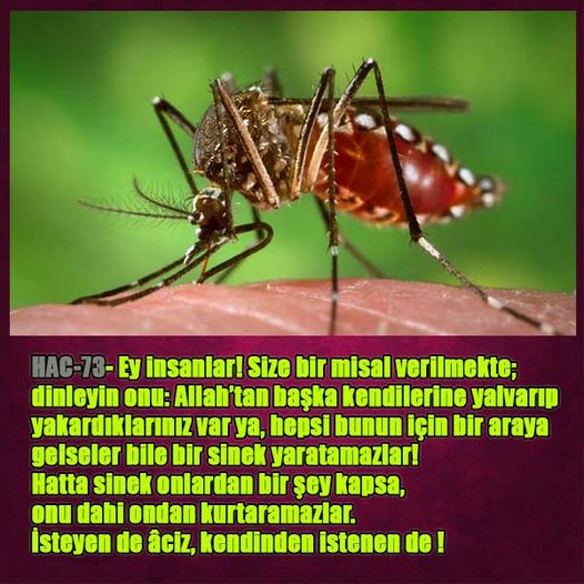 allah var delilleri, allahin varlıgının delilleri, allahin delilleri, allah in varliginin delilleri nelerdir?, allah ın ispatı