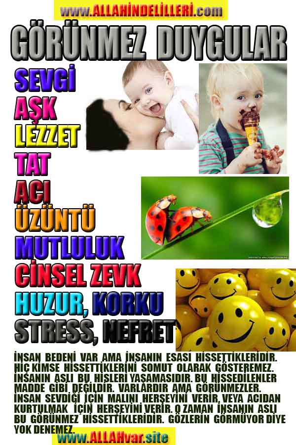 allah var delilleri, allahin varlıgının delilleri, allahin delilleri, allah in varliginin delilleri nelerdir?, allah ın ispatı