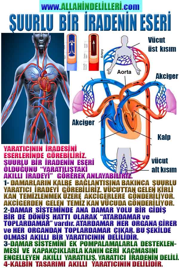 allah var delilleri, allahin varlıgının delilleri, allahin delilleri, allah in varliginin delilleri nelerdir?, allah ın ispatı