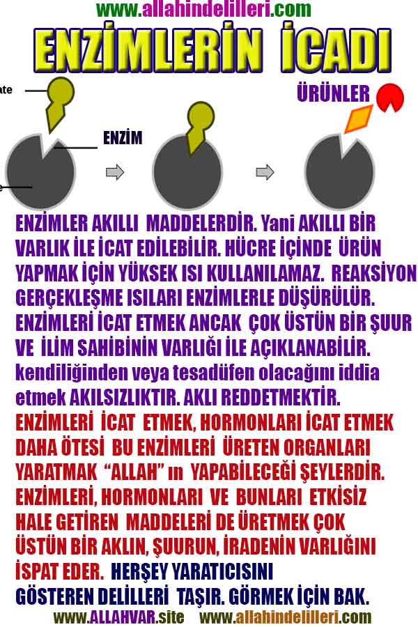 allah var delilleri, allahin varlıgının delilleri, allahin delilleri, allah in varliginin delilleri nelerdir?, allah ın ispatı
