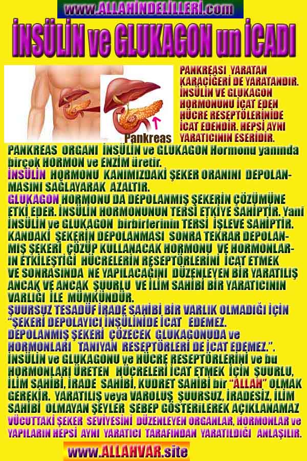 allah var delilleri, allahin varlıgının delilleri, allahin delilleri, allah in varliginin delilleri nelerdir?, allah ın ispatı