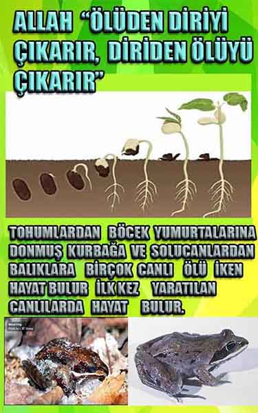 allah var delilleri, allahin varlıgının delilleri, allahin delilleri, allah in varliginin delilleri nelerdir?, allah ın ispatı