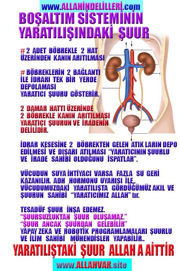 allah var delilleri, allahin varlıgının delilleri, allahin delilleri, allah in varliginin delilleri nelerdir?, allah ın ispatı