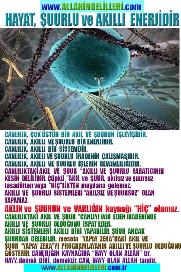allah var delilleri, allahin varlıgının delilleri, allahin delilleri, allah in varliginin delilleri nelerdir?, allah ın ispatı