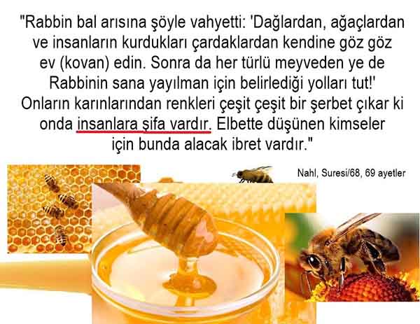 allah var delilleri, allahin varlıgının delilleri, allahin delilleri, allah in varliginin delilleri nelerdir?, allah ın ispatı