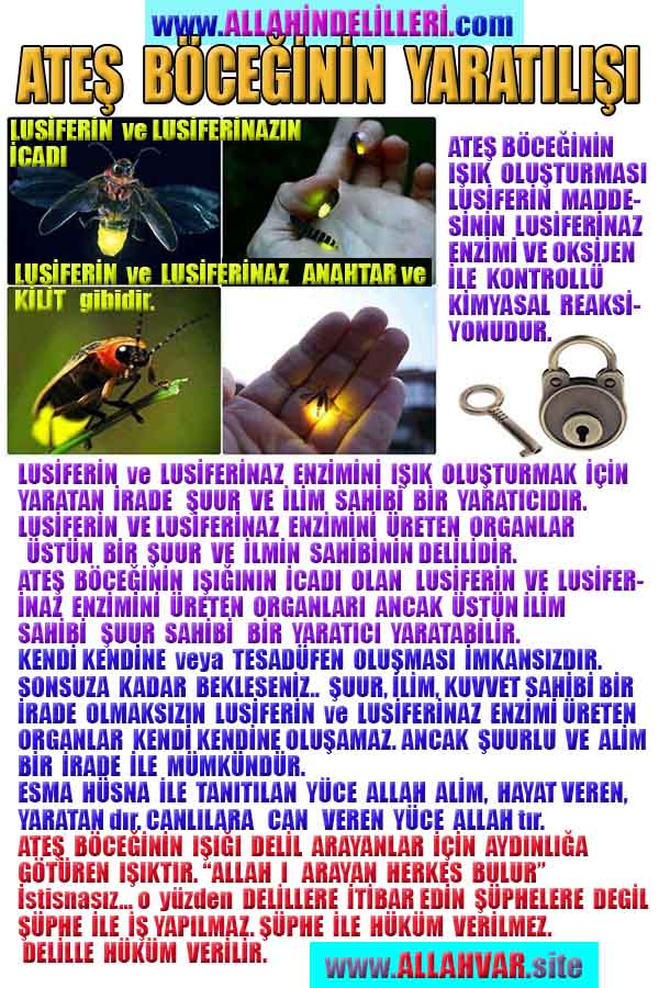 allah var delilleri, allahin varlıgının delilleri, allahin delilleri, allah in varliginin delilleri nelerdir?, allah ın ispatı