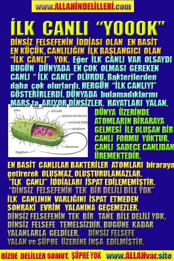 allah var delilleri, allahin varlıgının delilleri, allahin delilleri, allah in varliginin delilleri nelerdir?, allah ın ispatı