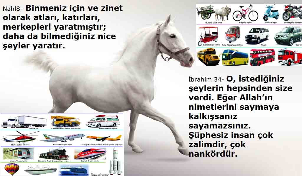 allah var delilleri, allahin varlıgının delilleri, allahin delilleri, allah in varliginin delilleri nelerdir?, allah ın ispatı