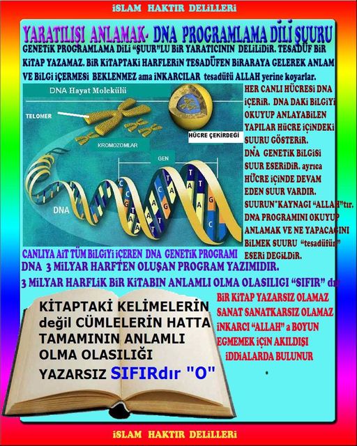 allah var delilleri, allahin varlıgının delilleri, allahin delilleri, allah in varliginin delilleri nelerdir?, allah ın ispatı