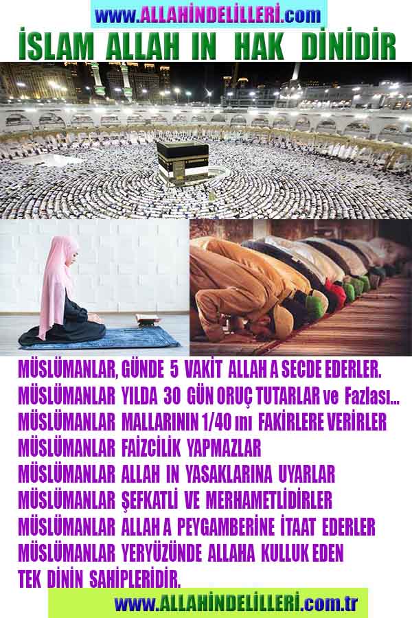 allah var delilleri, allahin varlıgının delilleri, allahin delilleri, allah in varliginin delilleri nelerdir?, allah ın ispatı