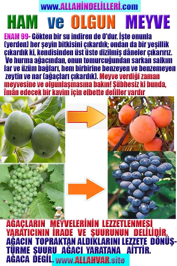 allah var delilleri, allahin varlıgının delilleri, allahin delilleri, allah in varliginin delilleri nelerdir?, allah ın ispatı