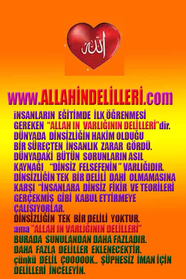 allah var delilleri, allahin varlıgının delilleri, allahin delilleri, allah in varliginin delilleri nelerdir?, allah ın ispatı